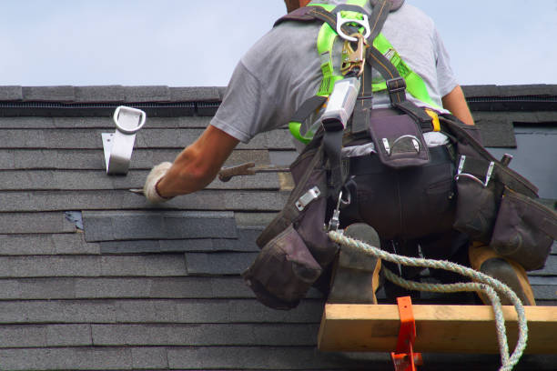 Best Roof Leak Repair  in Arcola, IL