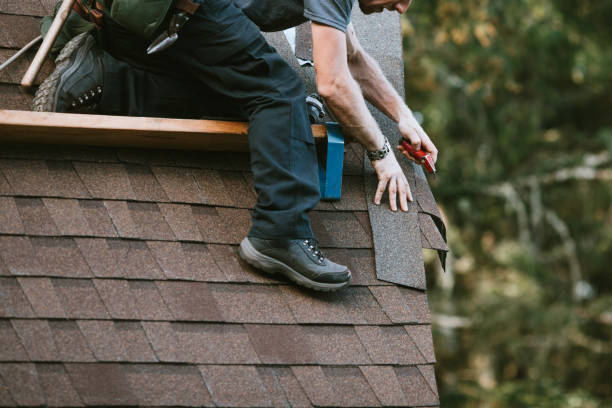 Best Roof Gutter Cleaning  in Arcola, IL